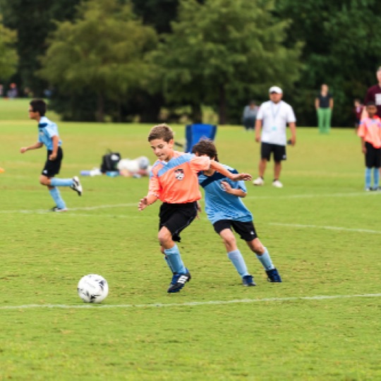 1024-01168.jpg 1024-01168.jpg