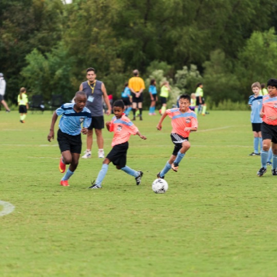 1024-01175.jpg 1024-01175.jpg