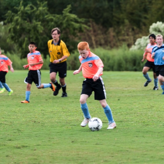 1024-01198.jpg 1024-01198.jpg