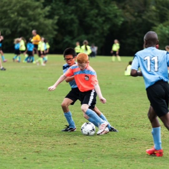 1024-01206.jpg 1024-01206.jpg