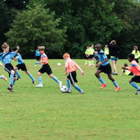 1024-01213.jpg 1024-01213.jpg