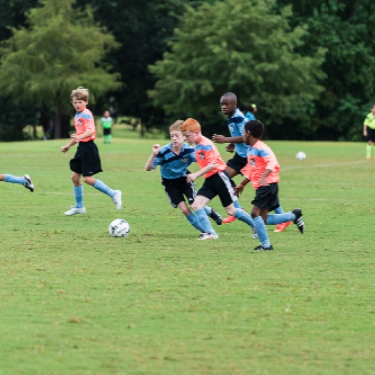 1024-01214.jpg 1024-01214.jpg