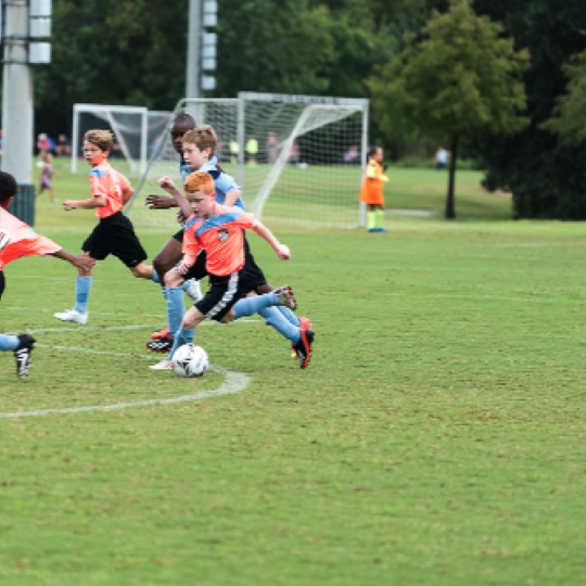 1024-01216.jpg 1024-01216.jpg