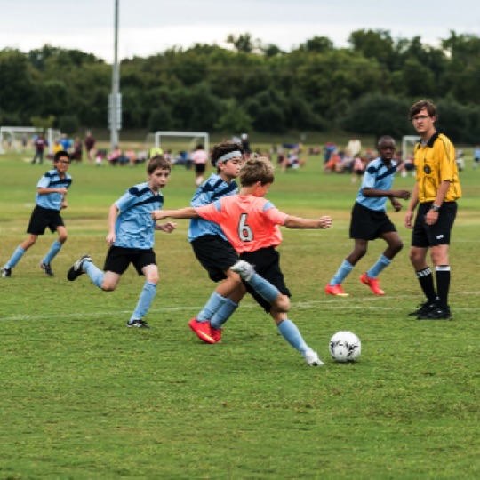 1024-01233.jpg 1024-01233.jpg