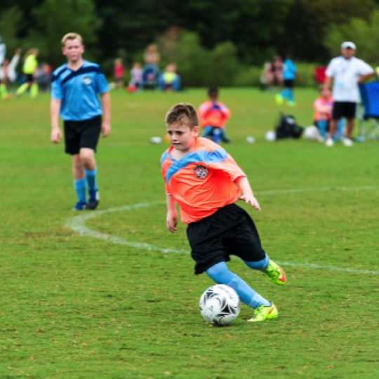 1024-01241.jpg 1024-01241.jpg