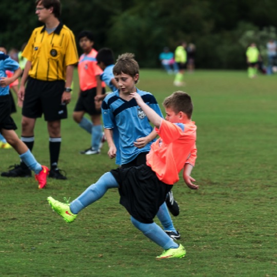 1024-01243.jpg 1024-01243.jpg