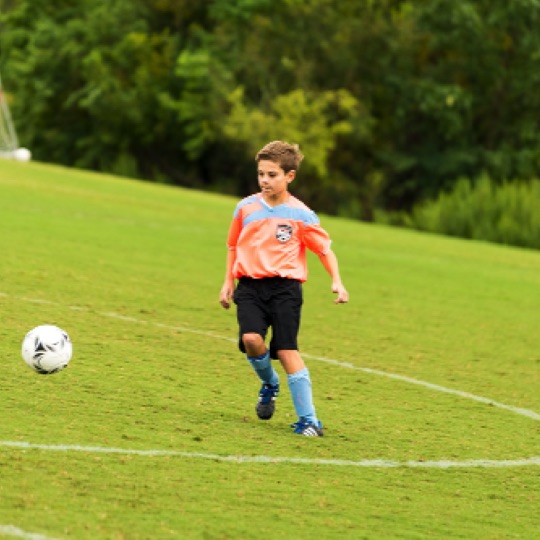 1024-01244.jpg 1024-01244.jpg