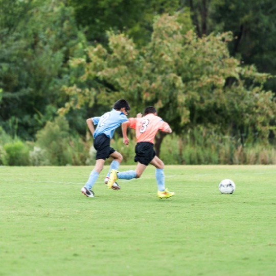 1024-01266.jpg 1024-01266.jpg