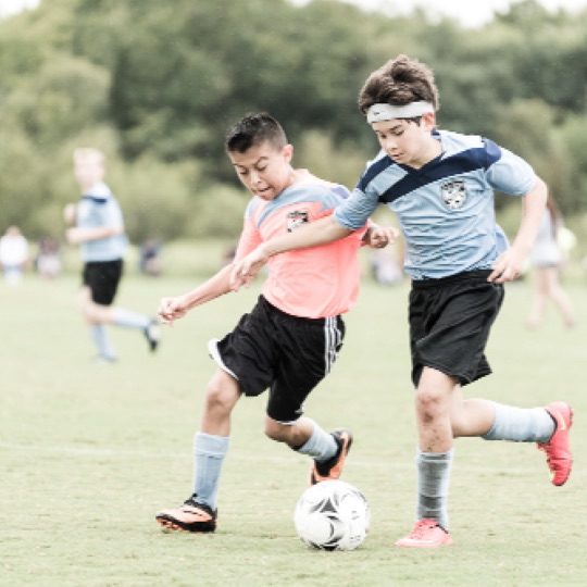 1024-01273.jpg 1024-01273.jpg