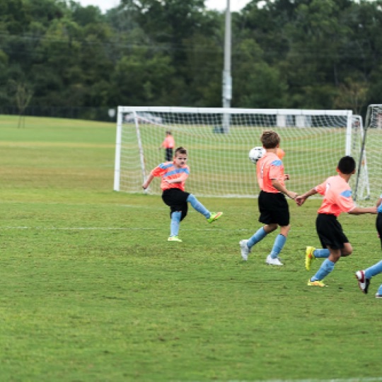 1024-01305.jpg 1024-01305.jpg