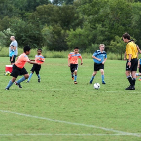 1024-01315.jpg 1024-01315.jpg