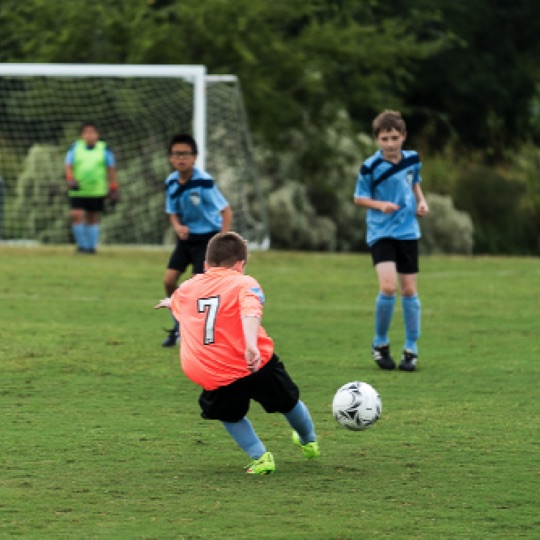 1024-01323.jpg 1024-01323.jpg