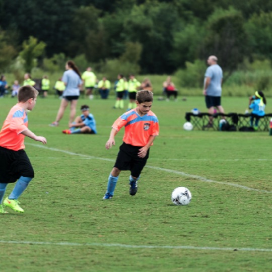 1024-01334.jpg 1024-01334.jpg