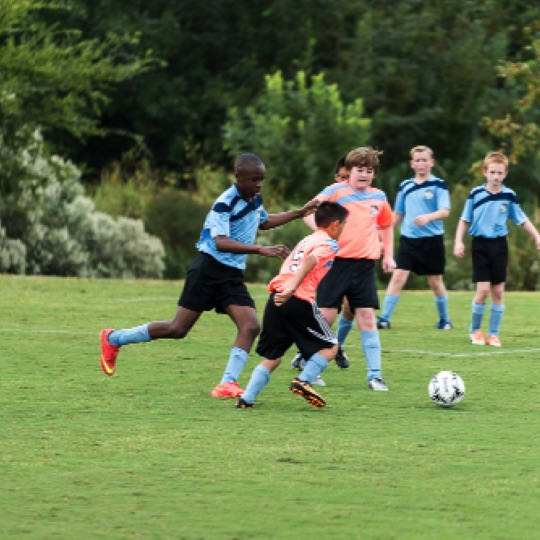 1024-01348.jpg 1024-01348.jpg