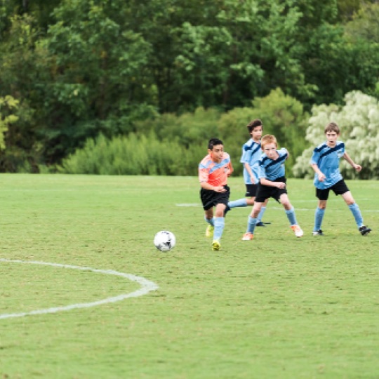 1024-01365.jpg 1024-01365.jpg