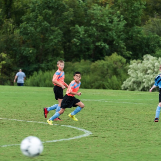 1024-01388.jpg 1024-01388.jpg