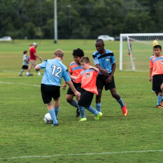 1024-01424.jpg 1024-01424.jpg